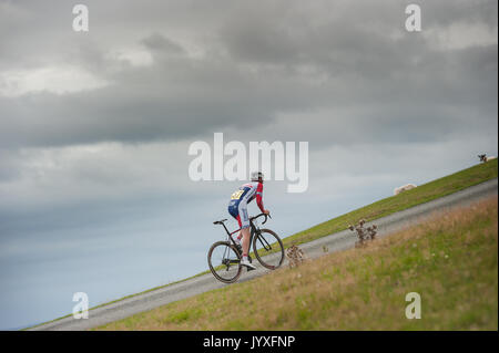 Il Stiperstones, Shrewsbury, Shropshire, Regno Unito. 20 agosto 2017. Il Royal Air Force CA rider Daniel Watt racing il West Midlands Regional ciclismo su strada i campionati di gara svoltasi domenica 20 agosto 2017 a Stiperstones, Shrewsbury, Shropshire, Regno Unito. Il 90 miglia race iniziato da 'Il Bog Visitor Center' che si trova su un altopiano sul lato del Stiperstones e continua discesa 'Hope Valley' e nel castello vescovile prima di rientrare sulla molto ripida Stiperstones cinque volte. Credito: RICHARD DAWSON/Alamy Live News Foto Stock