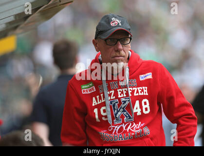 Moenchengladbach, Germania. 20 agosto 2017. Bundesliga giornata 1, Borussia Moenchengladbach vs 1. FC Koeln: Manager Peter Stoeger (Koeln). Credito: Juergen schwarz/Alamy Live News Foto Stock