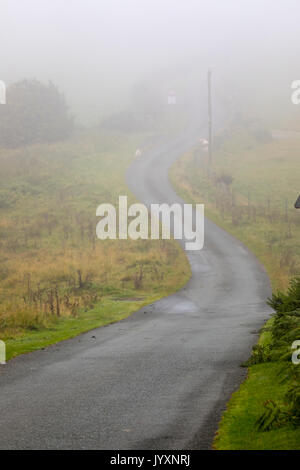 Flintshire, Galles del Nord, Regno Unito Meteo. Un inizio di nebbia per parti del Regno Unito oggi prima pioggia si muove in come mostrato in questo ambiente rurale serpeggianti lane in Moel-y-Crio questa mattina Foto Stock