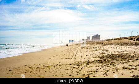 La bella spiaggia e le dune di Bloubergstrand sul lato Atlantico del Western Cape appena a nord della città di Cape Town sotto il cielo blu Foto Stock