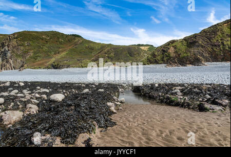 Babbacombe Cliff e la spiaggia con la bassa marea. South West Coast Path, nei pressi di Bucks Mills, North Devon, Inghilterra, Foto Stock