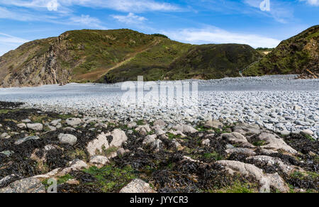 Boulder e la vista dalla scogliera: Babbacombe Cliff e la spiaggia con la bassa marea. South West Coast Path, nei pressi di Bucks Mills, North Devon, Inghilterra, Foto Stock