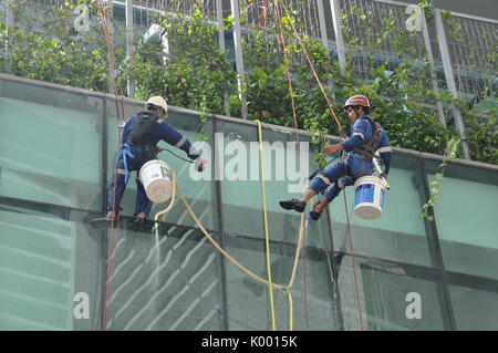 Detergenti per finestre la discesa in corda doppia verso il basso edificio Foto Stock