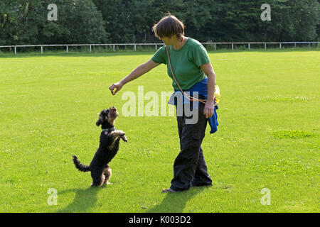 Frau lässt Hund Männchen machen | donna che fa il cane di sedersi e implorare Foto Stock