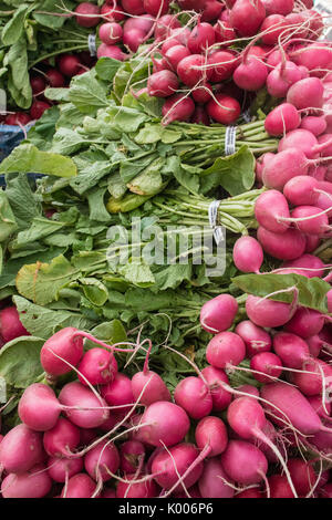 Rosso coltivato localmente gourmet organico ravanelli impilati in una molla mercato agricolo in California Foto Stock