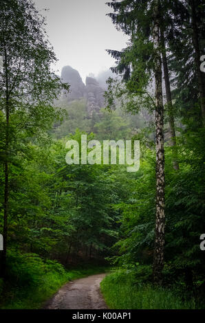 Foggy Elbe montagne di arenaria nella Svizzera sassone Foto Stock