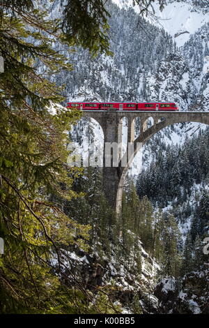 Il trenino rosso sul Wiesener Viadukt circondata da boschi. Engadina. Cantone dei Grigioni. La Svizzera. L'Europa. Foto Stock