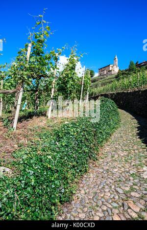 Un sentiero acciottolato che conduce alla chiesa di San Zeno. Montagna in Valtellina. Lombardia. L'Italia. Europa Foto Stock