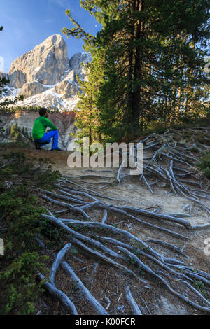 Escursionista nei boschi si ammira il Sass de Putia. Il Passo delle Erbe. Puez Odle Alto Adige Dolomiti Italia Europa Foto Stock
