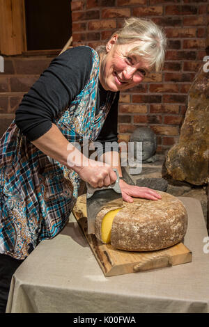 Gardsmat fattoria di formaggio Hitra Isola Trøndelag Norvegia Europa Foto Stock