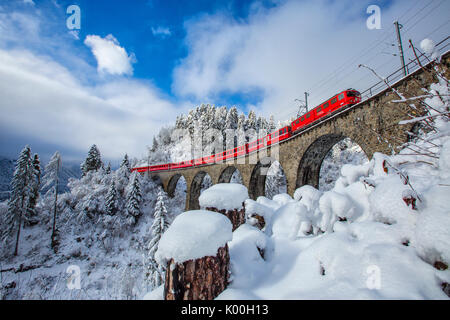 Bernina Express passa attraverso i boschi innevati Filisur Cantone dei Grigioni Svizzera Europa Foto Stock