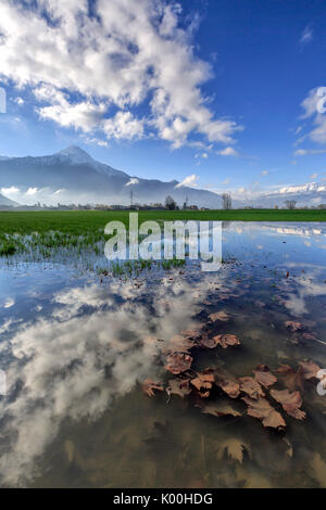 La riserva naturale del Pian di Spagna allagato con vette innevate riflessi nell'acqua Valtellina Lombardia Italia Europa Foto Stock