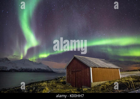 Northern Lights illumina la cabina in legno a Svensby Alpi Lyngen Tromsø Lapponia Norvegia Europa Foto Stock