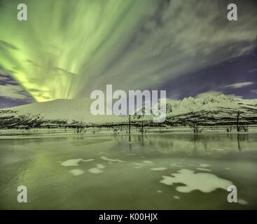 Aurora Boreale sulla laguna gelata di Jaegervatnet Stortind Alpi Lyngen Tromsø Lapponia Norvegia Europa Foto Stock