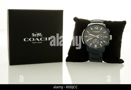 Winneconne, WI - 12 agosto 2017: Un pullman guarda su un isolato sfondo. Foto Stock