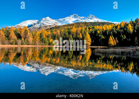 In autunno si specchia nelle acque calme di Lej Marsch in Engadina alta. Saint Moritz. Grigioni Svizzera. Europa Foto Stock