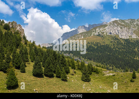 Il sentiero per la Baita Cornetto, sotto la Presolana montagna, Castione della Presolana, Val Seriana, distretto di Bergamo, Lombardia, Italia. Foto Stock