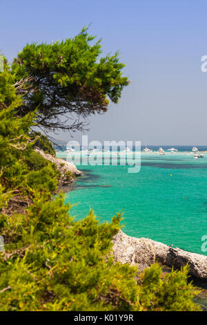 La vegetazione verde cornice il turchese del mare in estate Sperone Bonifacio Corsica del Sud Francia Europa Foto Stock