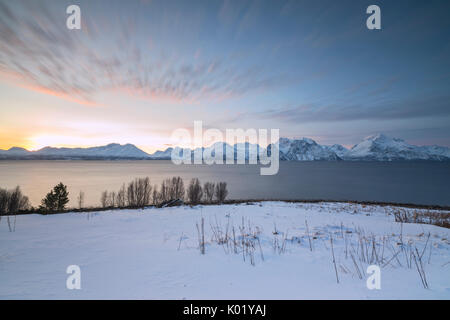 Nuvole rosa al tramonto il telaio il mare ghiacciato e le cime innevate Djupvik Alpi Lyngen Tromsø Norvegia Europa Foto Stock