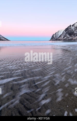 La luce rosa di telai di sunrise le onde del mare ghiacciato, circondata da vette innevate Ersfjord Senja Tromsø Norvegia Europa Foto Stock