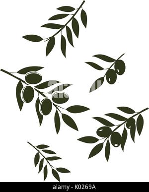 Illustrazione vettoriale di rami di ulivo isolati su sfondo bianco Illustrazione Vettoriale