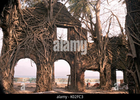La rovina di edificio abbandonato coperto con radici in Ross Island, Port Blair, Andaman, India, Asia caricati su 27LUG17 accettati Foto Stock