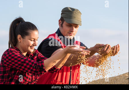 Yonng giovane gli agricoltori in campo di soia Foto Stock