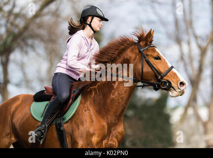 Giovane ragazza carina a cavallo Foto Stock
