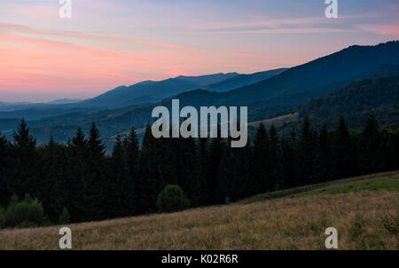 Spettacolare paesaggio con bosco di abete rosso in montagna. splendido scenario con cielo rossastro all'alba a inizio autunno Foto Stock