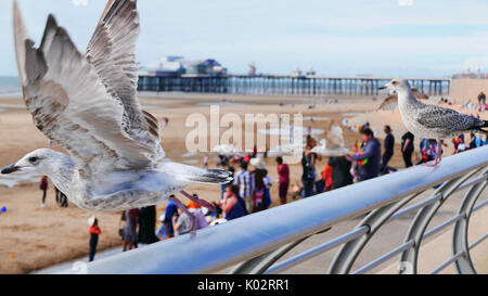 Molto tempo fa risaltare la folla su Blackpool Beach e dal lungomare. Foto Stock