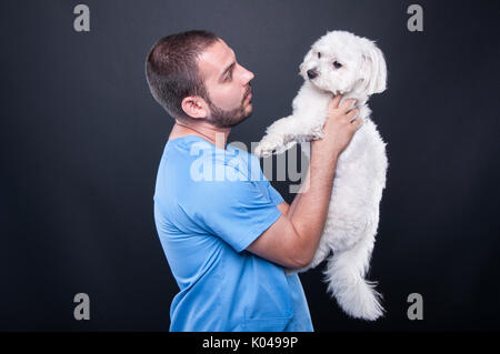 Indossare veterinario scrubs holding simpatico cane bianco per la consultazione su sfondo nero Foto Stock