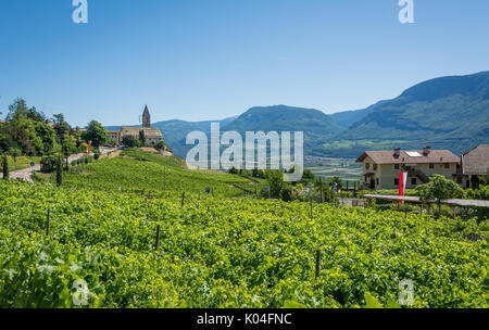 La chiesa del villaggio idilliaco di Cortaccia. Cortaccia si estende sul lato soleggiato della strada del vino. Alto Adige, Italia settentrionale. Foto Stock