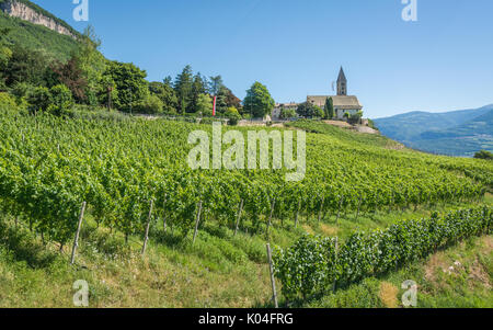 La Chiesa del villaggio idilliaco di Cortaccia. Cortaccia si estende sul lato soleggiato della strada del vino. Alto Adige, Italia settentrionale. Trentino alto Adige Foto Stock