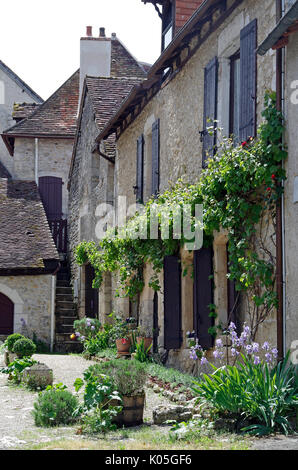 Piccolo gruppo di particolarmente curato cottages adiacenti al fiume Anglin, uno con una viticoltura su tutta la larghezza della casa Foto Stock