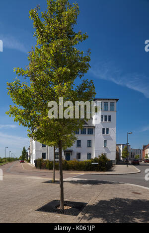 Il molto vario di stili architettonici di case e appartamenti formanti una parte di Eco-design di sviluppo a Upton un sobborgo di Northampton, England, Regno Unito Foto Stock