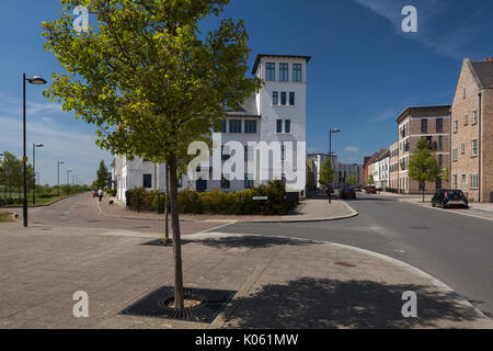 Il molto vario di stili architettonici di case e appartamenti formanti una parte di Eco-design di sviluppo a Upton un sobborgo di Northampton, England, Regno Unito Foto Stock