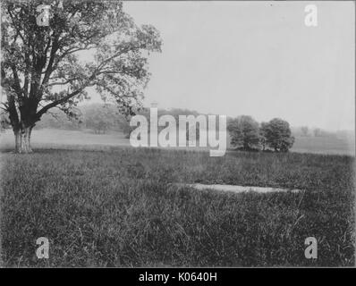 Terra non occupato in prossimità di Roland Park e Guilford, un campo di erba non tagliata e alberi sparsi, lo sfondo è costituito da alberi, Stati Uniti, 1910. Questa immagine viene da una serie di documentare la costruzione e la vendita di case nel parco di Roland/Guilford quartiere di Baltimora, un tram sobborgo e una delle prime comunità prevista negli Stati Uniti. Foto Stock