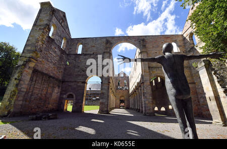 Il Land Turingia, Germania. 19 Ago, 2017. Le rovine del monastero Paulinzella, un ex monastero benedettino nella valle Rottenbach dello stato tedesco della Turingia, Germania, 19 agosto 2017. L'ex monastero benedettino, istituito da un aristocratico di nome Paulina tra 1102 e 1105, è uno dei più importanti edifici romani in Germania. Foto: Jens Kalaene/dpa-Zentralbild/dpa/Alamy Live News Foto Stock