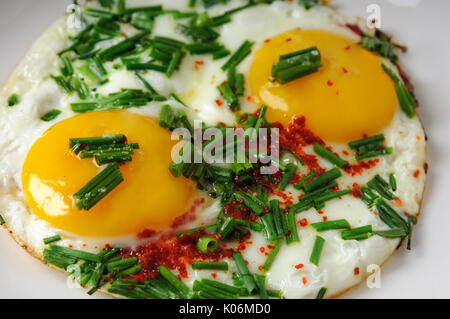 Uova fritte e cipolla verde e spezie. La prima colazione a molla sulla piastra Foto Stock