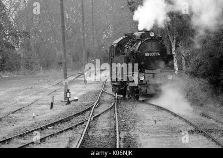 99 6001-4 correndo sotto la pioggia a Hasselfelde. Harzer Schmalspurbahnen. Foto Stock