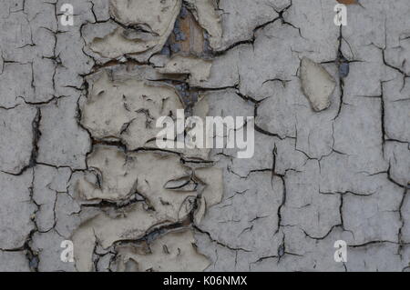 Vernice incrinata closeup sulla porta di legno Foto Stock