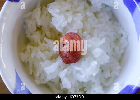 Giapponese di riso bianco e umeboshi (prugna pickle). Close up. Foto Stock