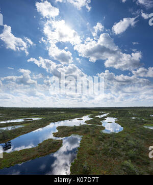 In estate il BOG. Gli alberi, le nuvole e il cielo riflesso nella palude lago. La foresta e la palude. eevening in moro. giornata soleggiata in fen. Foto Stock