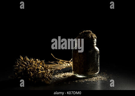 Grappolo d'avena e fiocchi nel vasetto di aromatizzanti, isolato su sfondo nero. profumo di grano, golden avena spikelets scuro sul tavolo di legno, può essere riempito con secchi Foto Stock