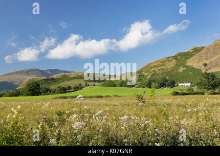 Guardando verso l'alto Rigg (destra) e bassa Rigg dalla corsia nei pressi di Dale Fondo, a sud-est di Keswick, Lake District. Blencathra è in distanza. Foto Stock