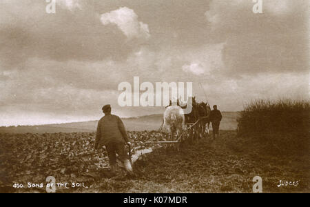 Squadra di aratura a quattro cavalli al lavoro - South Downs, East Sussex Foto Stock