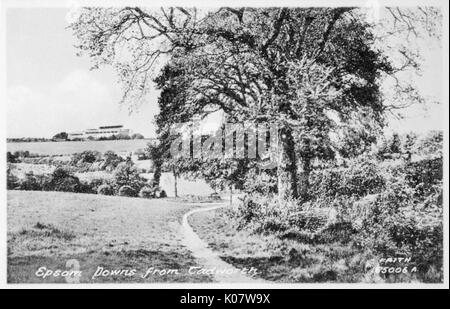 Epsom Downs, Surrey, visto da Tadworth Foto Stock