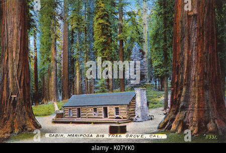 Cabin, Mariposa Big Tree Grove, California, Stati Uniti Foto Stock