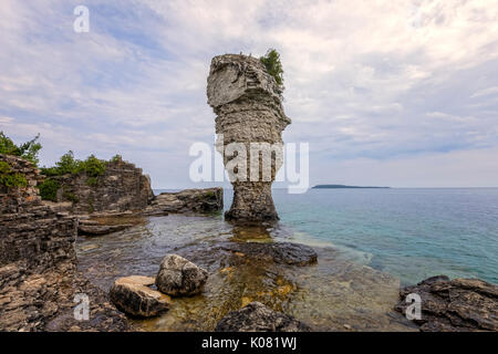 Vaso di fiori Isola, Bruce Peninsula, Tobermory, Ontario, Canada Foto Stock