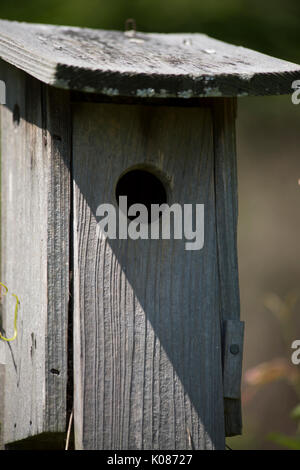 Un extreme close up di un vuoto birdhouse Foto Stock